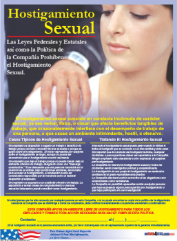 Sexual Harassment Poster (Spanish)