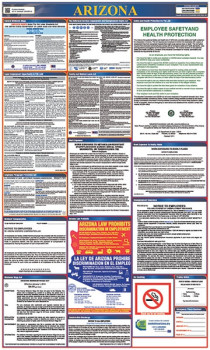 Arizona All in One Labor Law Poster