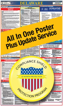 Delaware All In One Poster + 3 Year Replacement Poster