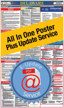 Delaware All In One Poster + 3 Year E-Update Service