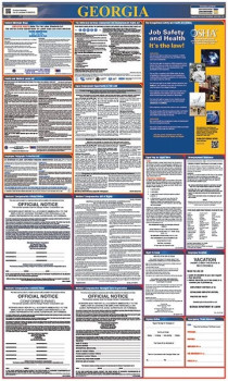Georgia All In One Labor Law Poster