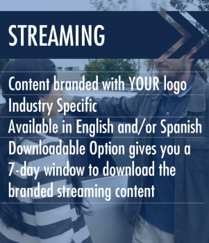 Connecticut 46a-54-200 Two-Hour All-Staff Sexual Harassment Prevention Streaming Training