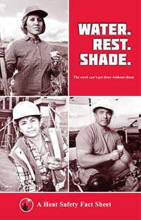 Heat Stress Worker Fact Sheet (12 Count)