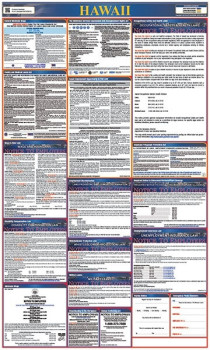 Hawaii All In One Labor Law Poster