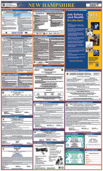 New Hampshire All in One Labor Law Poster