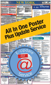 New York All In One Poster + 3 Year E-Update Service
