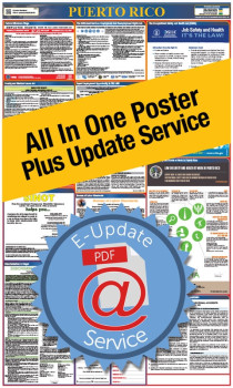 Puerto Rico All In One Poster + 1 Year E-Update Service - Spanish