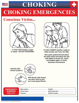 Arizona Choking Poster 
