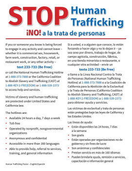California Human Trafficking Poster