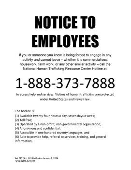 Hawaii Human Trafficking Poster