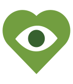 Eyeball within a heart green icon