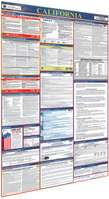 all-in-one-labor-law-poster-tilted-small
